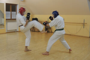 Foto: Zweikampf der Erwachsenen mit Schutzhelm und Boxhandschuhen (grüner und brauner Gurt)